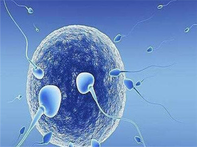供卵代怀包男孩